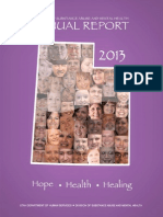 Division of Substance Abuse and Mental Health Annual Report 2013 