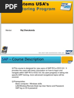 SAP Navigation