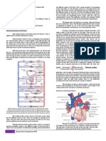 Cardiovascular System