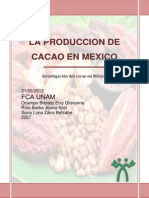 Investigacion Del Cacao en Mexico