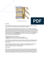 Tumor Medula Spinal 