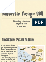 Fantastic Voyage OGR