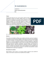 Cultivo de Albahaca PDF