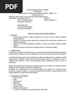 Informe Final Orgánica.