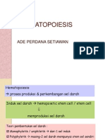 Hematopoiesis 2013