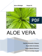 Aloe Vera Trabajo Final