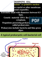 Prokaryotic Cell and Eukaryotic Cell