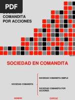 Sociedad Comandita Por Acciones