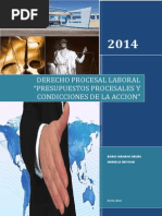 Presupuestos Procesales y Condiciones de La Accion