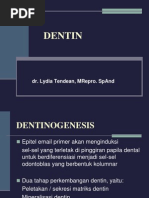 Tentang Dentin