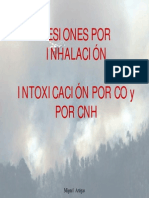 Lesiones Por Inahalacion Intoxicacion CO y CNH