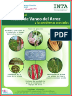 Afiche Ácaro Del Vaneo Del Arroz