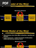 Modal Model of The Mind: Long-Term Memory Working or Short-Term Memory Sensory Memory