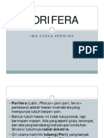 4 Porifera PDF