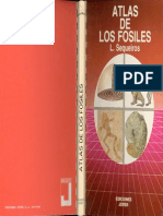 Atlas Jover de Los Fosiles