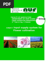 Strategies of Improving Horticulture (Floriculture) in Rwanda