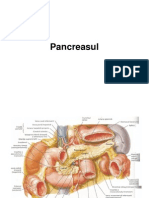 Pancreas Ul