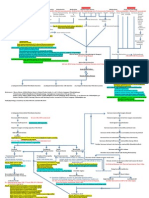 Concept Map