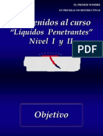 Líquidos Penetrantes 2006