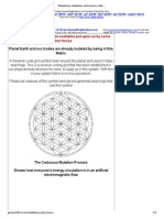 Metatronic Mutations and Reverse Code Examples