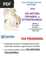 2 - Via Motora Piramidal y Extrapiramidal PDF