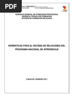 Normativas Del Sistema de Relaciones Del P.N.A.