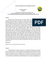 Meninges, Cairan Serebrospinal Serta Vaskularisasi Serebral