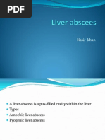 Liver Abscees