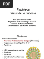 Flavivirus RubeÃ la2013OK