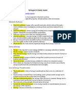 Chapter 8 Study Guide Ap Bio