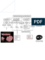 Cuadro Estructura Proteínas