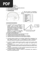 Examen de Octavo II Trimestre