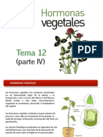 Hormonas Vegetales FITOHORMONAS