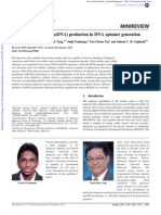 Single-Stranded Dna (Ssdna) Production in Dna Aptamer Generation