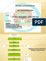 Hidrolisis de Almidon Procesos