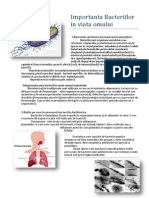 Importanta Bacteriilor in Viata Omului