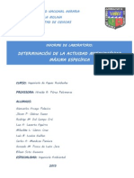 Actividad Metanogénica Máxima Especifica