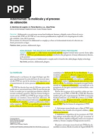 Adalimumab - La Molécula y El Proceso de Obtención