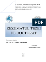 Rezumat Teza Doctorat DR Furau Cristian