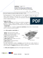 Ficha de Trabalho 8 Estudo Dos Órgãos Da Videira Folha