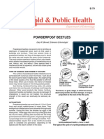 Household & Public Health