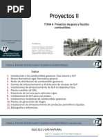 p2 t04 Proyectos Gases y Liquidos Combustibles