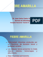 Fiebre Amarilla