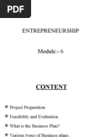 Entrepreneurship (Module 6)