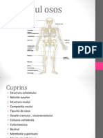 Sistemul Locomotor