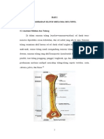 Referat Multiple Myeloma