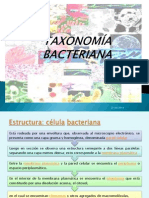 2.-Taxonomía Bacteriana