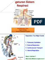 Pengaturan Sistem Respirasi