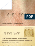 La Piel y Papilos