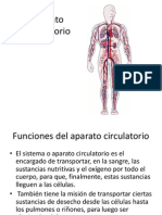 Aparato Circulatorio